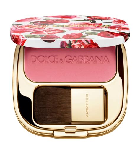 dolce gabbana rose garden|dolce gabbana rose blush.